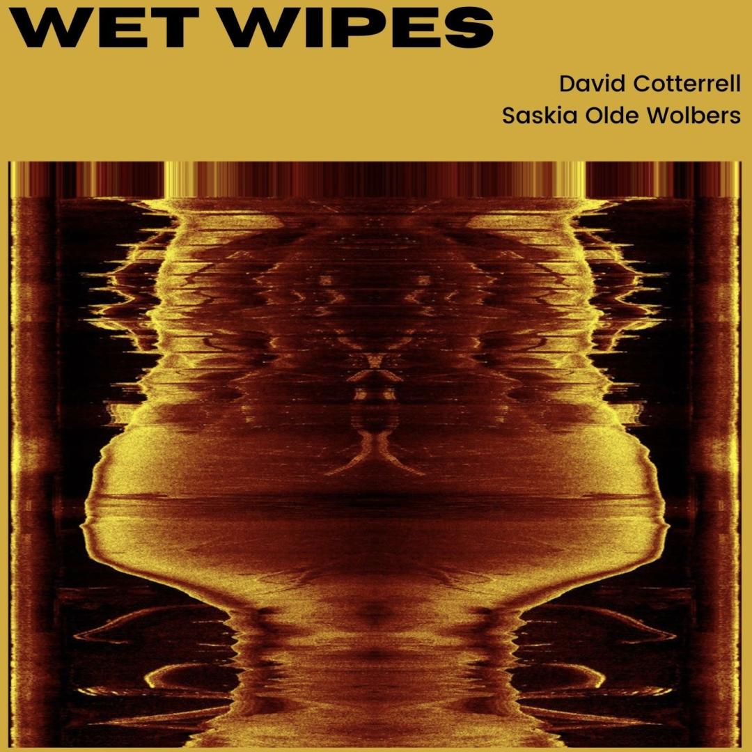 Wet Wipes