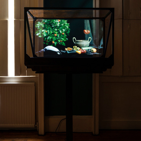 David Cotterrell 'Bodegon 1' 2022