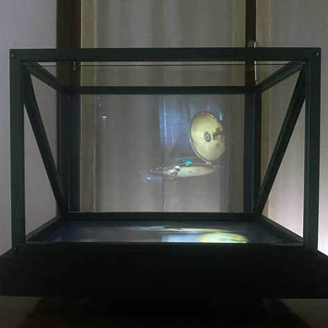 Wunderkammern - Greed (detail)