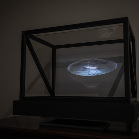 Wunderkammern - Envy (detail)