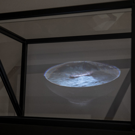 Wunderkammern - Envy (detail)