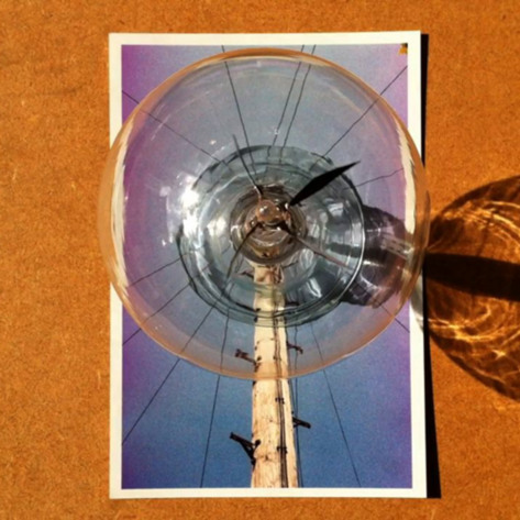 Still from â€˜Cactus and Curtains'