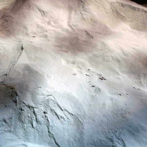 Searchlight II (detail)